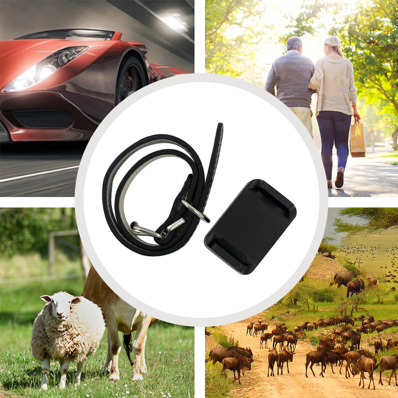 A magical tool for finding pets - collar-type GPS tracker